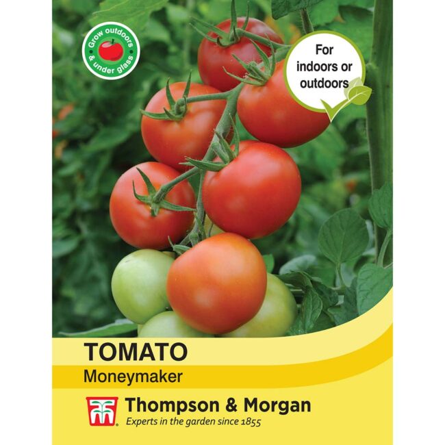 THOMPSON & MORGAN - TOMATO MONEYMAKER SEEDS