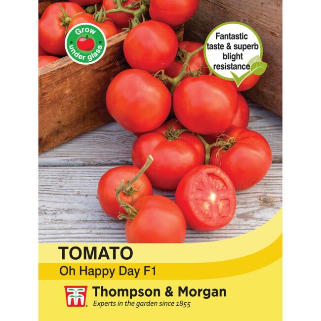 THOMPSON & MORGAN - TOMATO OH HAPPY DAY F1 HYBRID SEEDS
