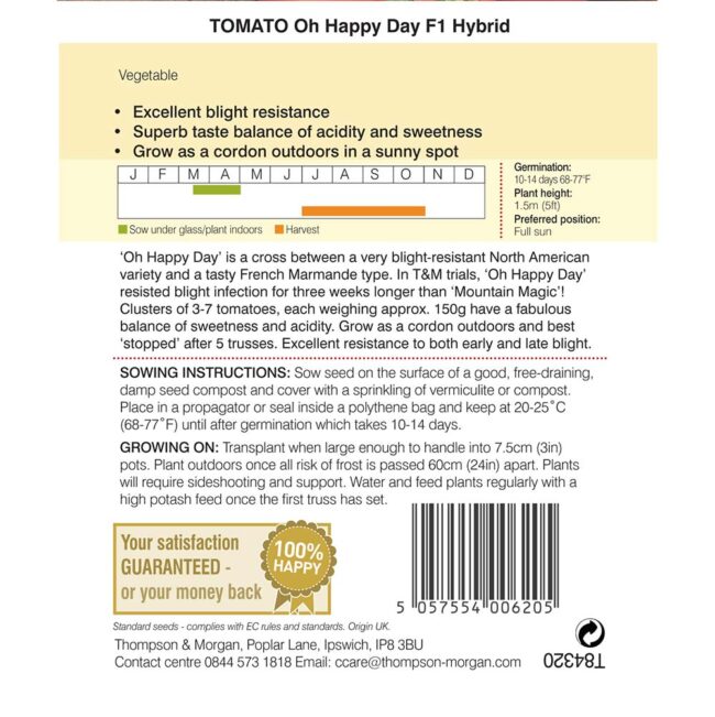 THOMPSON & MORGAN - TOMATO OH HAPPY DAY F1 HYBRID SEEDS - Image 2