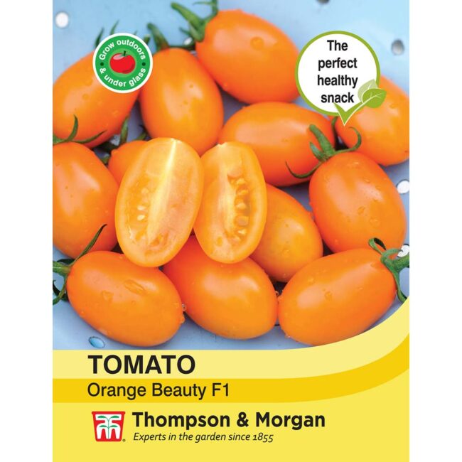 THOMPSON & MORGAN - TOMATO ORANGE BEAUTY F1 HYBRID SEEDS