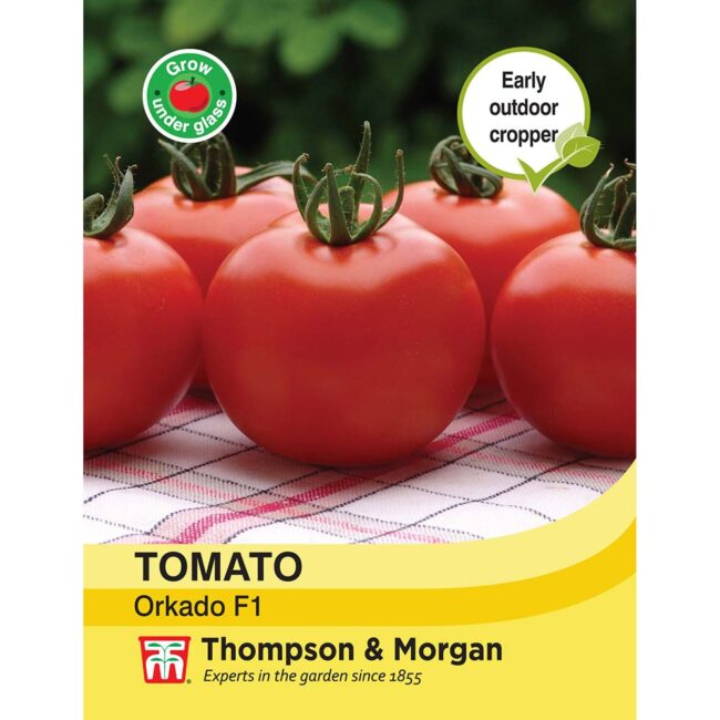 THOMPSON & MORGAN - TOMATO ORKADO F1 SEEDS