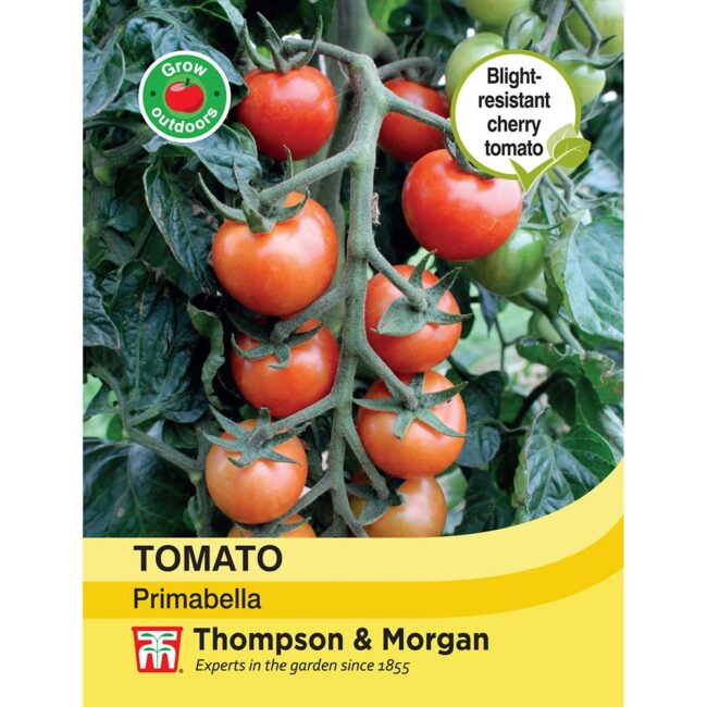 THOMPSON & MORGAN - TOMATO PRIMABELLA SEEDS
