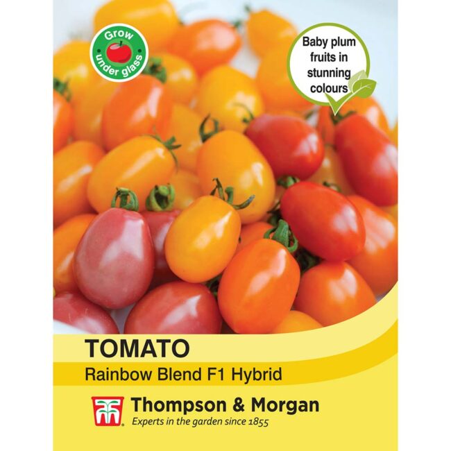 THOMPSON & MORGAN - TOMATO RAINBOW BLEND F1 HYBRID SEEDS
