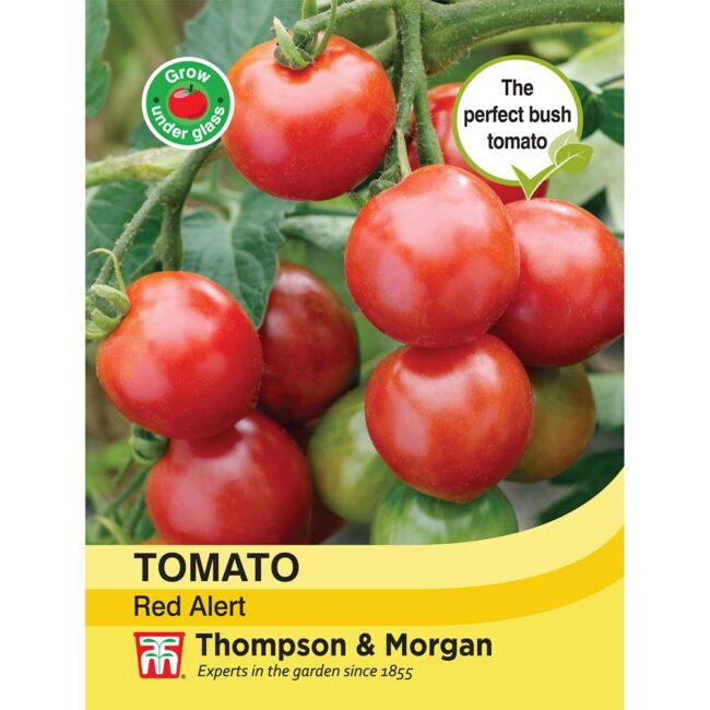 THOMPSON & MORGAN - TOMATO RED ALERT BUSH SEEDS