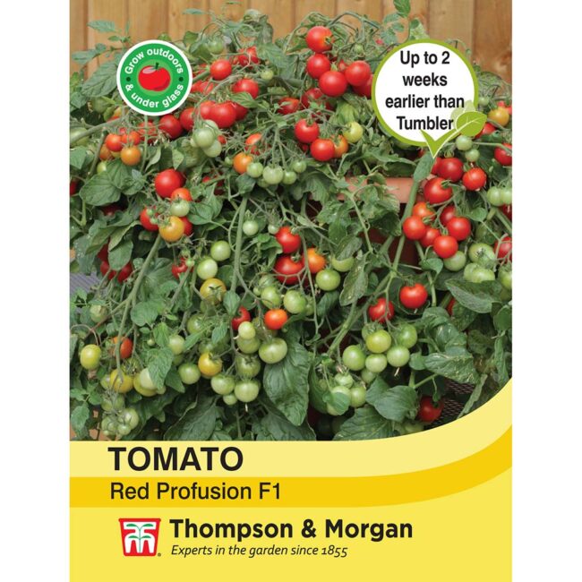 THOMPSON & MORGAN - TOMATO RED PROFUSION F1 SEEDS