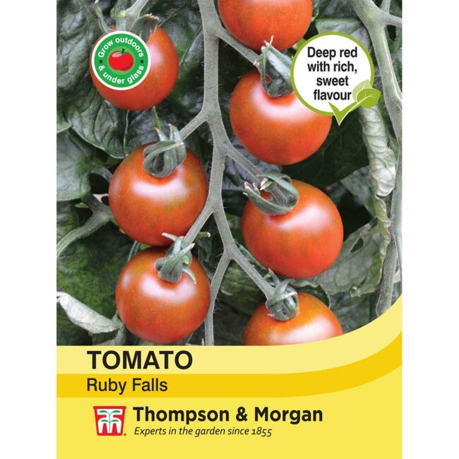 THOMPSON & MORGAN - TOMATO RUBY FALLS