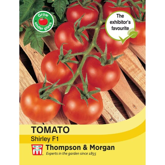 THOMPSON & MORGAN - TOMATO SHIRLEY F1 HYBRID SEEDS