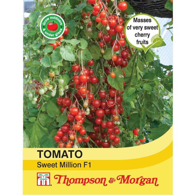 THOMPSON & MORGAN - TOMATO SWEET MILLION F1 HYBRID SEEDS