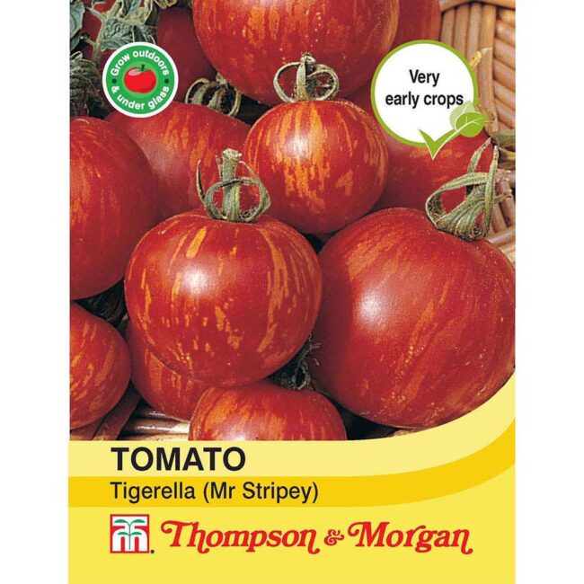 THOMPSON & MORGAN - TOMATO TIGERELLA MR STRIPEY