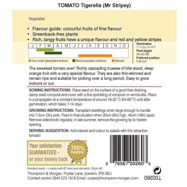 THOMPSON & MORGAN - TOMATO TIGERELLA MR STRIPEY - Image 2