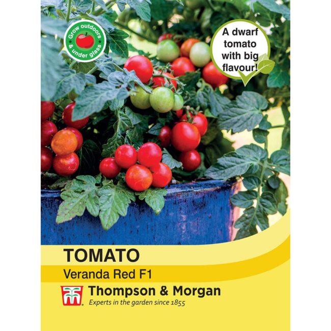 THOMPSON & MORGAN - TOMATO VERANDA RED F1