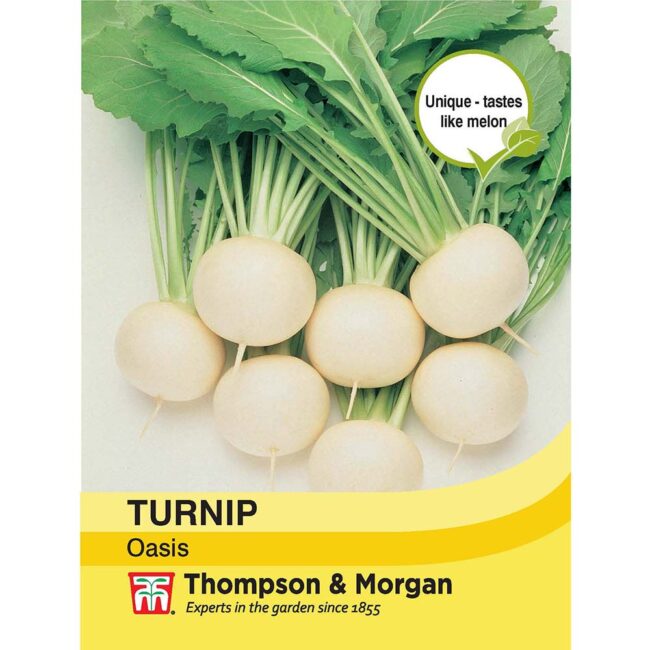 THOMPSON & MORGAN - TURNIP OASIS SEEDS