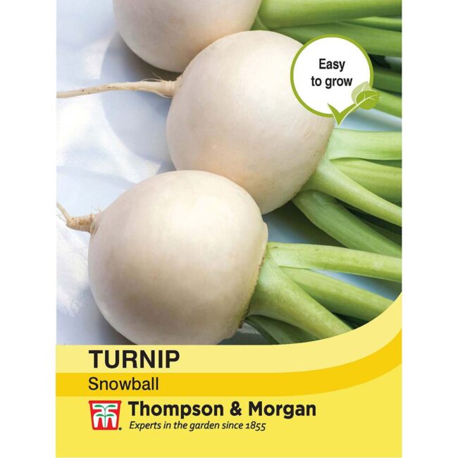 THOMPSON & MORGAN - TURNIP SNOWBALL