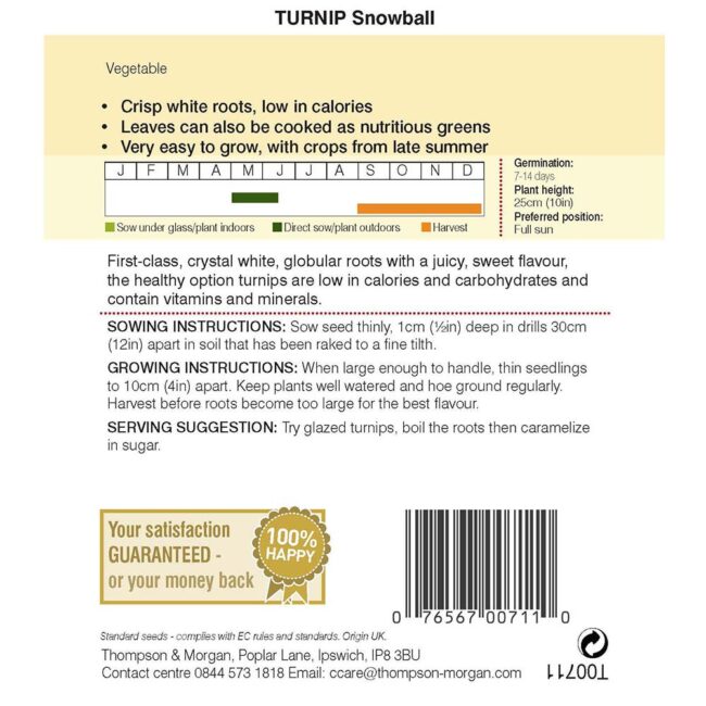 THOMPSON & MORGAN - TURNIP SNOWBALL - Image 2