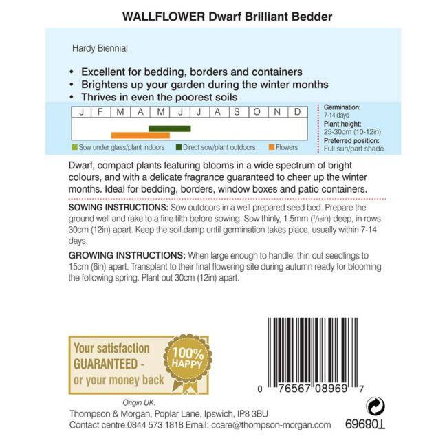 THOMPSON & MORGAN - WALLFLOWER DWARF BRILLIANT BEDDER SEEDS - Image 2