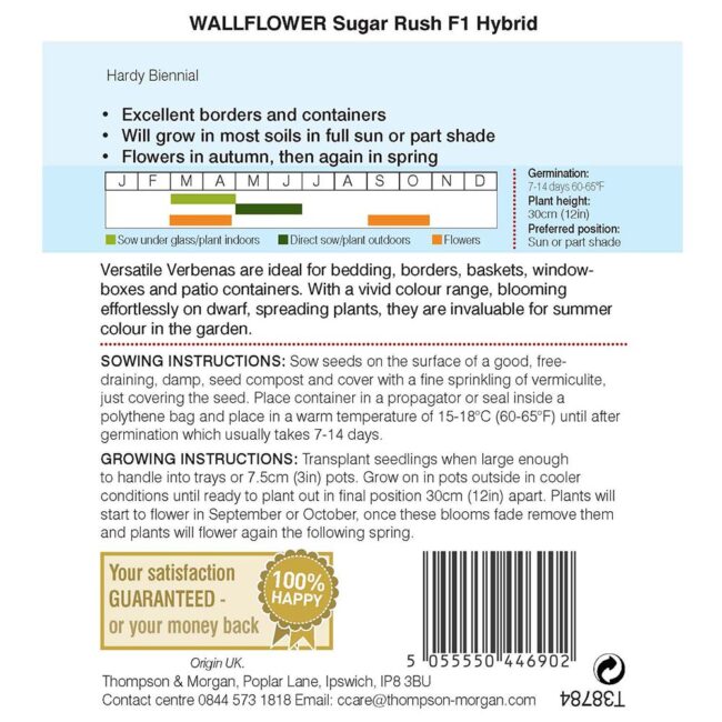 THOMPSON & MORGAN - WALLFLOWER SUGAR RUSH F1 HYBRID SEEDS - Image 2