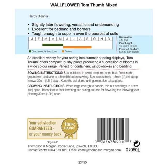 THOMPSON & MORGAN - WALLFLOWER TOM THUMB SEEDS - Image 2