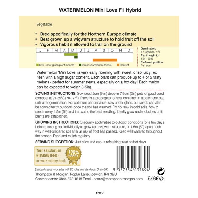 THOMPSON & MORGAN - WATERMELON MINI LOVE F1 HYBRID SEEDS - Image 2
