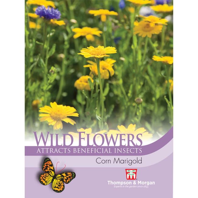 THOMPSON & MORGAN - WILD FLOWER CORN MARIGOLD SEEDS