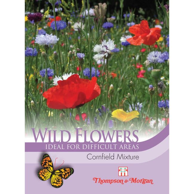 THOMPSON & MORGAN - WILD FLOWER CORNFIELD MIXTURE SEEDS