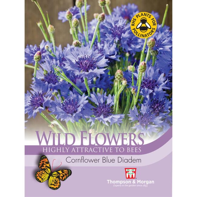 THOMPSON & MORGAN - WILD FLOWER CORNFLOWER BLUE DIADEM SEEDS