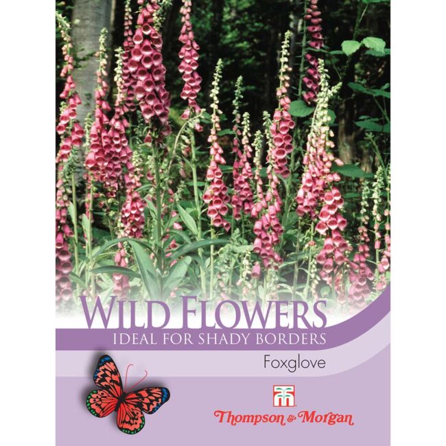 THOMPSON & MORGAN - WILD FLOWER FOXGLOVE SEEDS