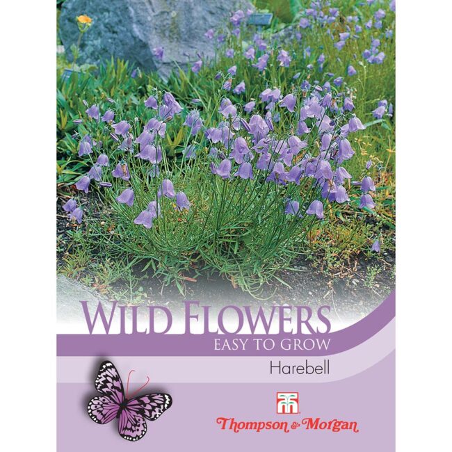 THOMPSON & MORGAN - WILD FLOWER HAREBELL SEEDS