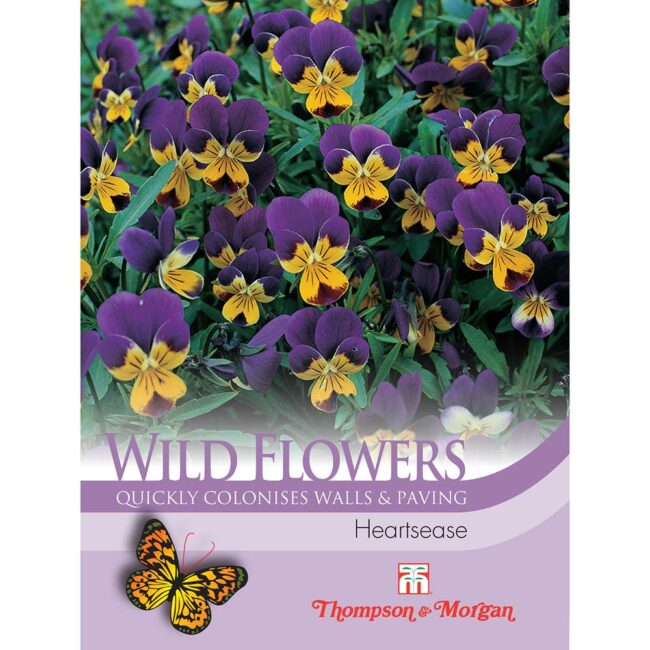 THOMPSON & MORGAN - WILD FLOWER HEARTSEASE SEEDS