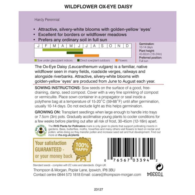 THOMPSON & MORGAN - WILD FLOWER OXEYE DAISY - Image 2