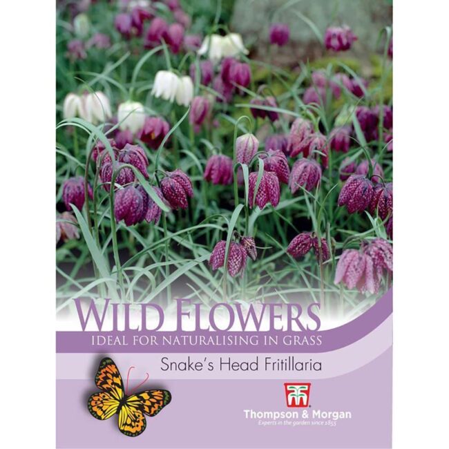 THOMPSON & MORGAN - WILD FLOWER SNAKES HEAD FRITILLARIA