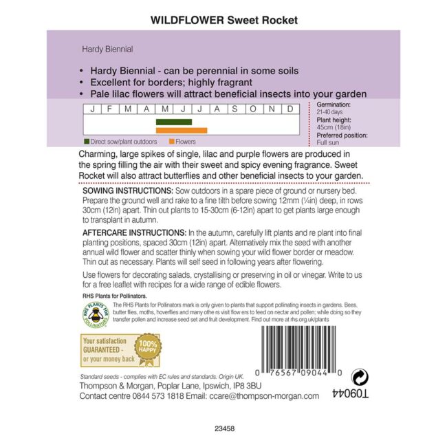 THOMPSON & MORGAN - WILD FLOWER SWEET ROCKET - Image 2