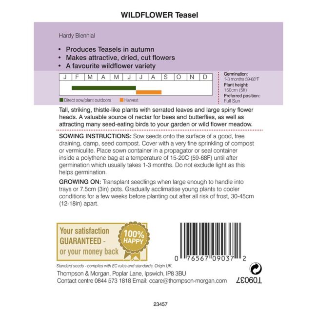 THOMPSON & MORGAN - WILD FLOWER TEASEL - Image 2