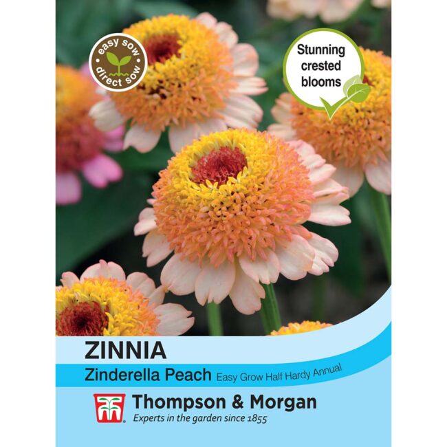 THOMPSON & MORGAN - ZINNIA ELEGANS ZINDERELLA PEACH SEEDS