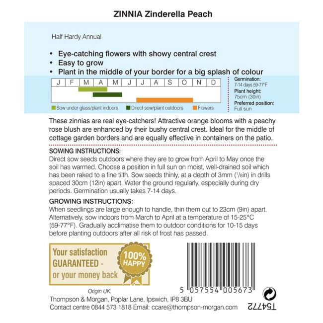 THOMPSON & MORGAN - ZINNIA ELEGANS ZINDERELLA PEACH SEEDS - Image 2