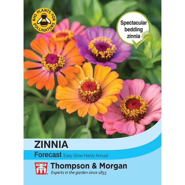 THOMPSON & MORGAN - ZINNIA FORECAST
