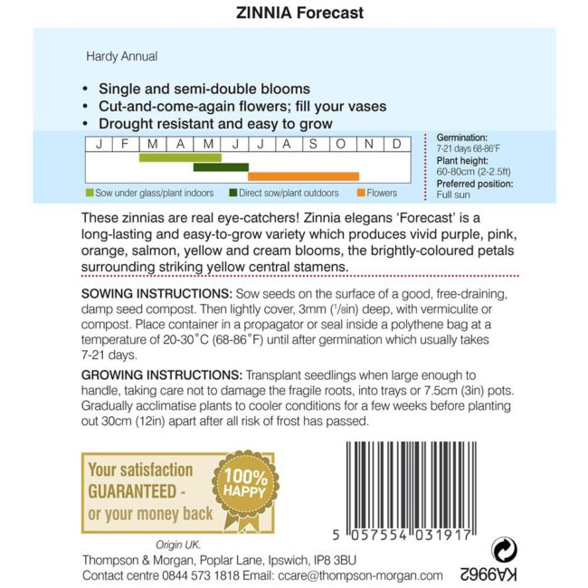 THOMPSON & MORGAN - ZINNIA FORECAST - Image 2