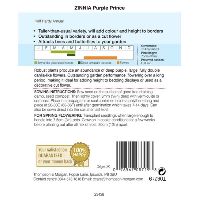 THOMPSON & MORGAN - ZINNIA PURPLE PRINCE SEEDS - Image 2