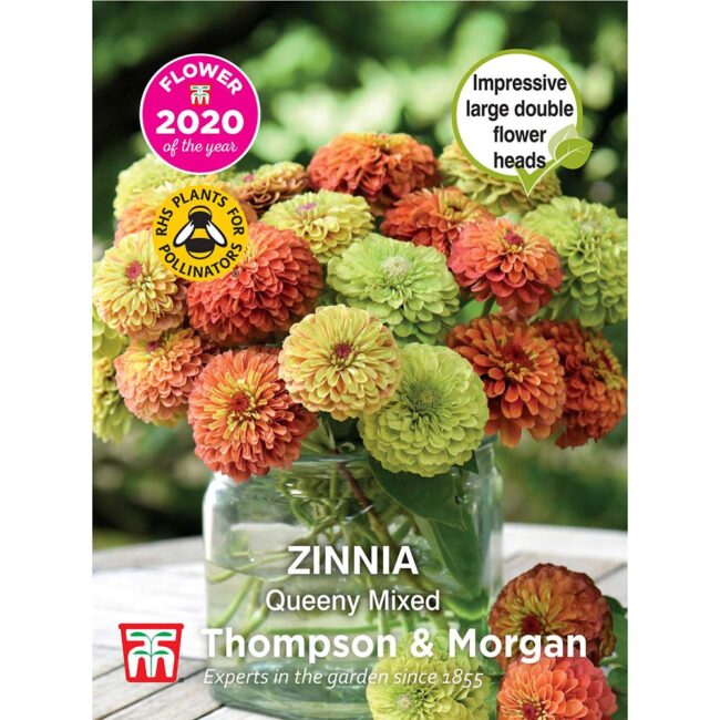 THOMPSON & MORGAN - ZINNIA QUEENY MIXED