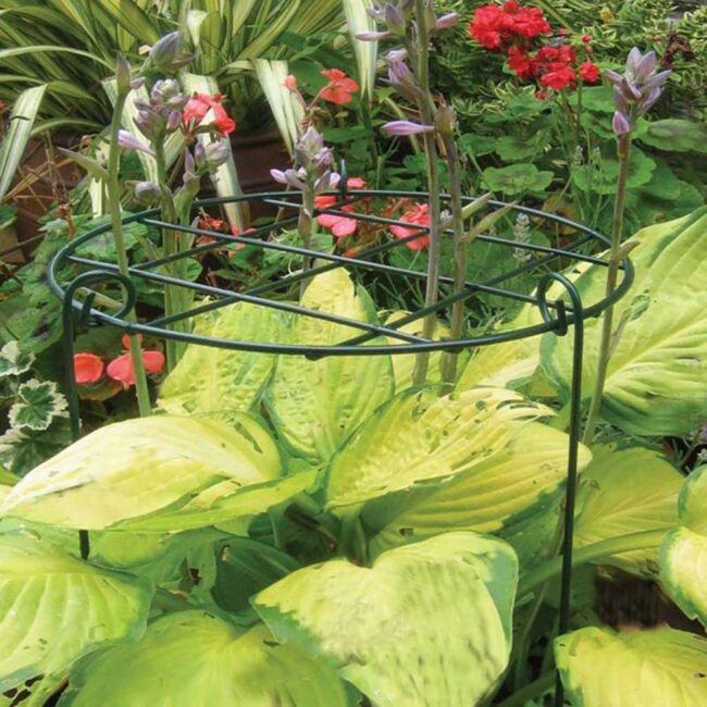 TILDENET SUPPORT FRAME ALL ROUND 30x46CM