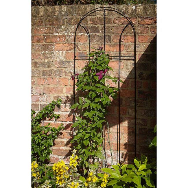 TOM CHAMBERS FLORA TRELLIS SMALL