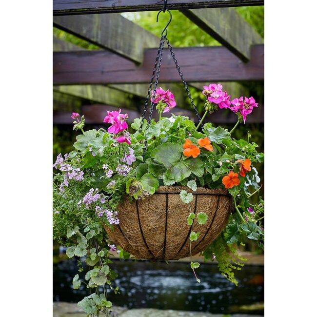 TOM CHAMBERS TRADITIONAL HANGING BASKET WITH LINER