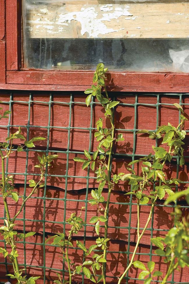 TREADSTONE CLIMBING PLANT SUPPORT NETTING 5M X 0.5M