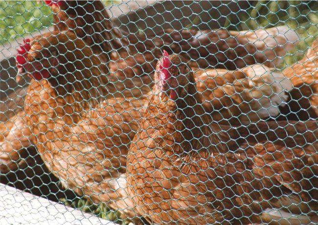 TREADSTONE GALVANISED WIRE NETTING 0.9 X 10M 25MM
