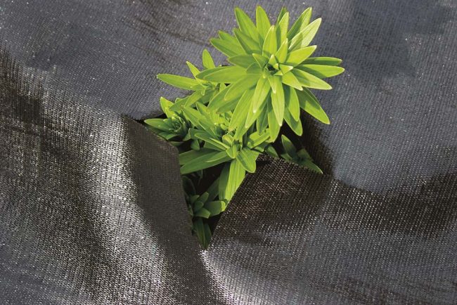 TREADSTONE GROUND COVER 1MX12M - Image 2