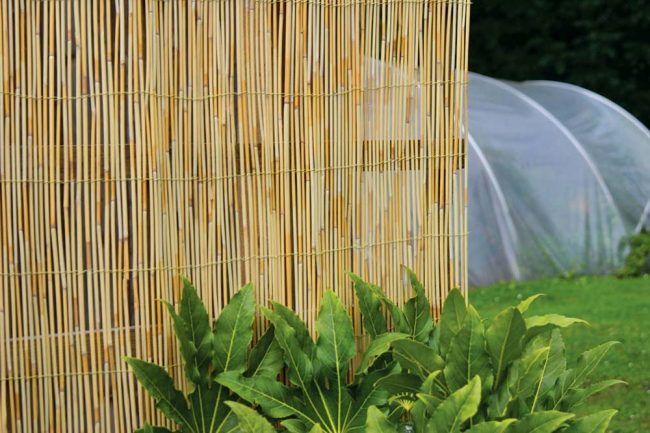 TREADSTONE REED SCREENING 4M X 2M - Image 2