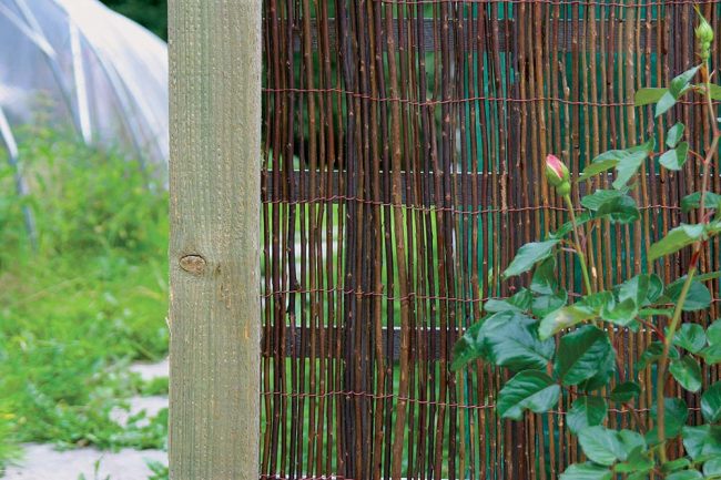 TREADSTONE WILLOW SCREENING 1.5MX4M - Image 2