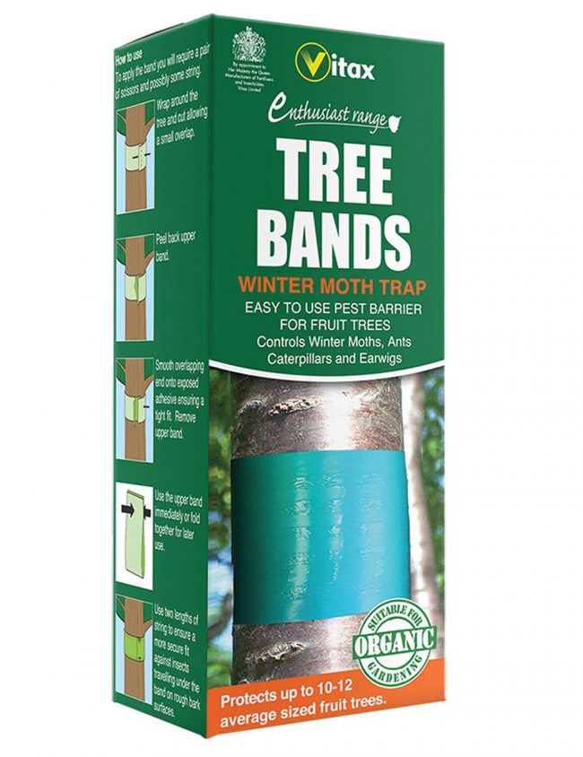 VITAX TREE BANDS FOR WINTER MOTH