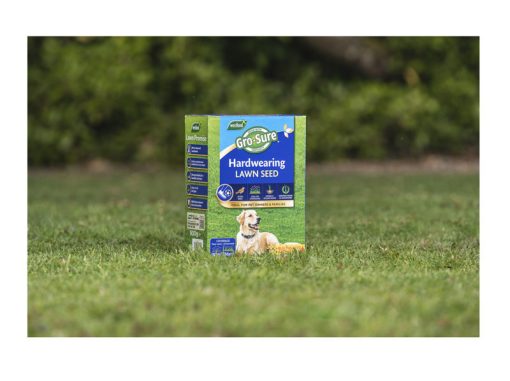 WESTLAND HARD WEARING LAWN SEED