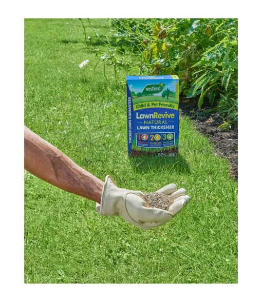 WESTLAND REVIVE LAWN THICKENER - Image 2