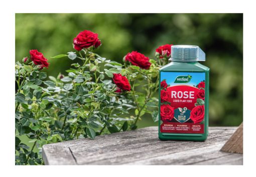 WESTLAND SPECIALIST LIQUID ROSE FOOD